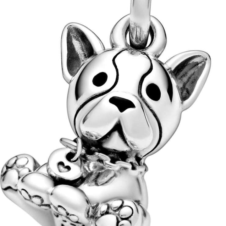 Charm cachorro Bulldog