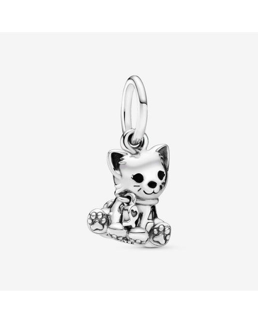 Charm dulce gato